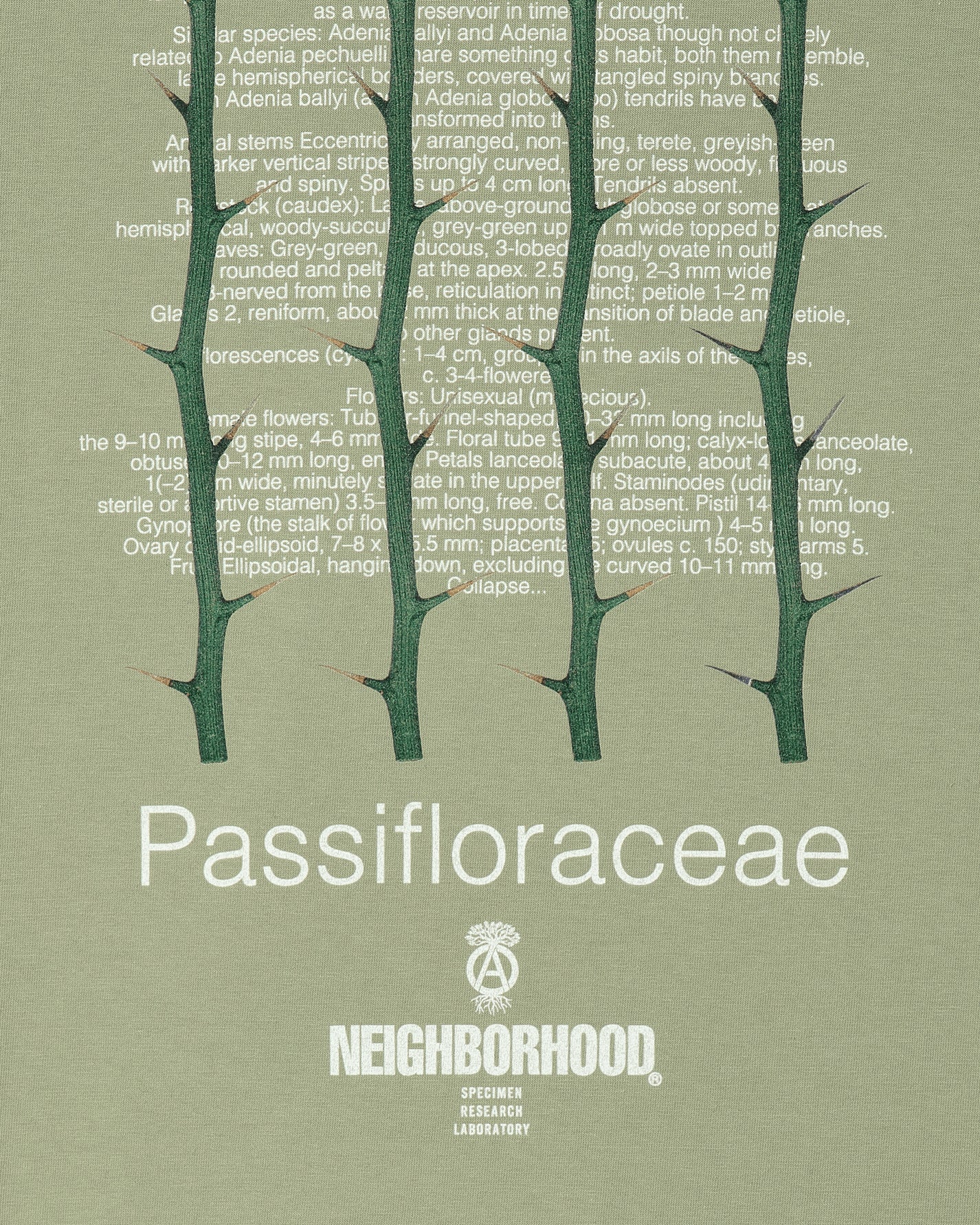 Neighborhood Tee Ls-1 Sage Green T-Shirts Shortsleeve 241PCNH-LT13 SG