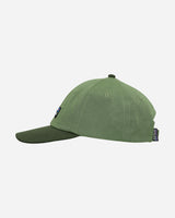 Patagonia P-6 Label Trad Cap Terrain Green  Hats Caps 38296 TNGR