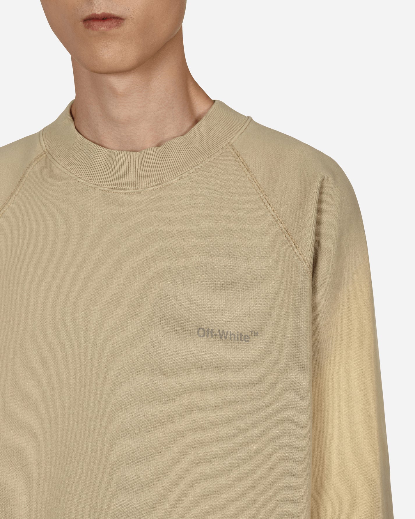 Off-White Diag Tab Vtg Ragl Skate Crewn Dark Sand Sweatshirts Crewneck OMBA056F22FLE001 1717