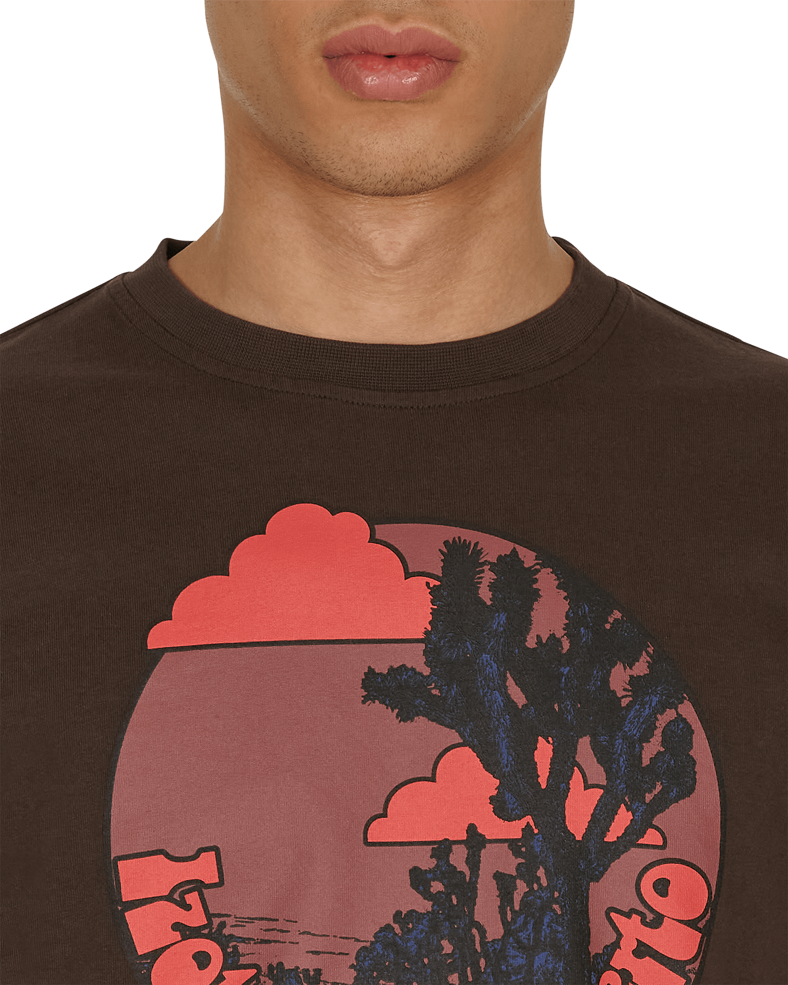 Phipps Desert Daggar Black Bear T-Shirts Shortsleeve PHSS21N01-2J002 BLACK